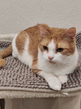 �������, ������ ��� �������� ������ - ���� 1 � ����������