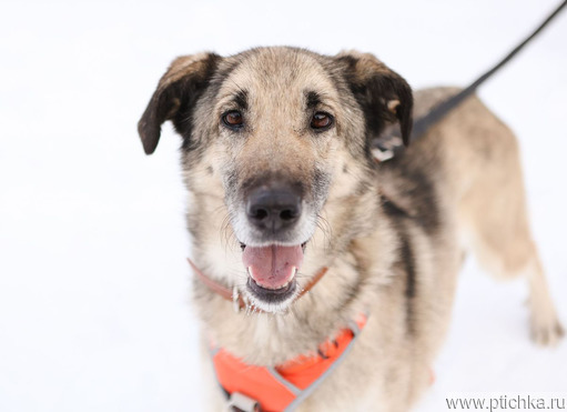 ������ ���� ���������� ������ - ���� 1 � ����������