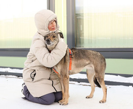 ������ ���� ���������� ������ - ���� 1 � ����������