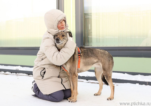 ������ ���� ���������� ������ - ���� 1 � ����������