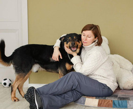 ������ ���� ���������� ������ - ���� 1 � ����������