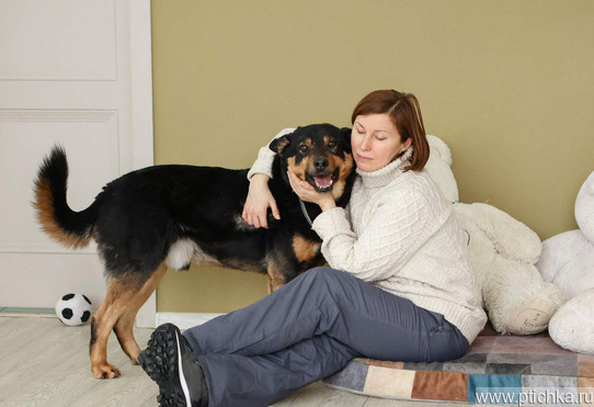 ������ ���� ���������� ������ - ���� 1 � ����������