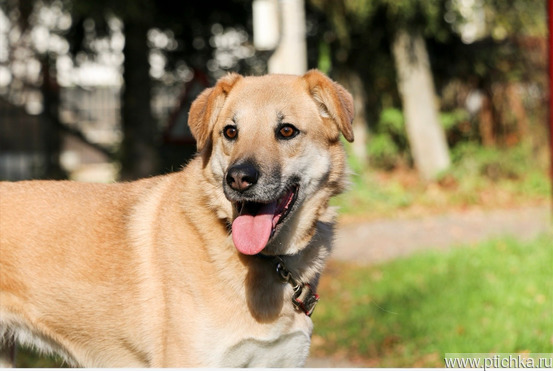 �������� ���������� ���� ��� � ������� �����! - ���� 1 � ����������