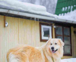 ����������� ������ ������ ���� ���������� ������ - ���� 1 � ����������