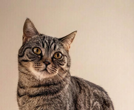 ������ � ��������� ��������� ���� ���! - ���� 1 � ����������