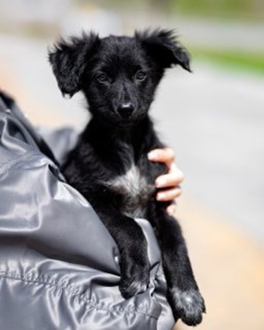 ������� ���� ���. - ���� 1 � ����������