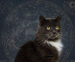 ���� ��� ��� ����� �������� ��� - ��������. - ���� 1 � ����������