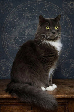 ���� ��� ��� ����� �������� ��� - ��������. - ���� 1 � ����������