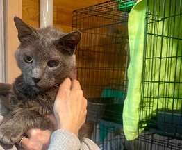 ����� ���� ���������� ������ - ���� 1 � ����������