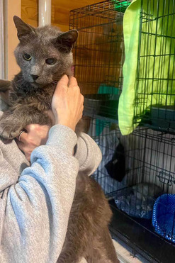 ����� ���� ���������� ������ - ���� 1 � ����������