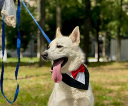 ����: �������� ����� � ������� ���� � �����. - ���� 1 � ����������