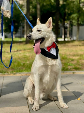 ����: �������� ����� � ������� ���� � �����. - ���� 1 � ����������