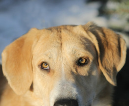 Ը��� ���� ��� - ���� 1 � ����������