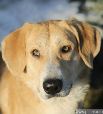 Ը��� ���� ��� - ���� 1 � ����������