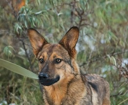 ���� ���� ���! - ���� 1 � ����������