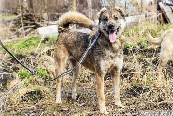 ����� ������ ����� � ������� ���� - ���� 1 � ����������