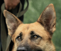 �������� ������ ���� � ������� ���� - ���� 1 � ����������