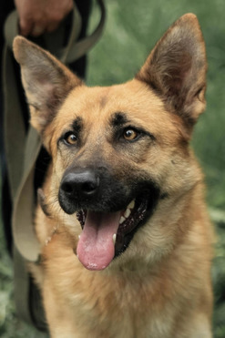 �������� ������ ���� � ������� ���� - ���� 1 � ����������