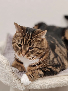 ��������: ������ ������� � ��������� ������ ���� ����� - ���� 1 � ����������