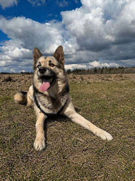 ������ ���� ���������� ������ - ���� 1 � ����������