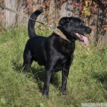 ������ ���� ���������� ������ - ���� 1 � ����������