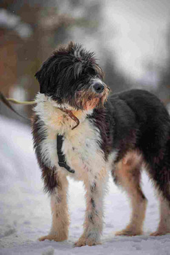 ���������� �������� ���� ���������� ������ - ���� 1 � ����������