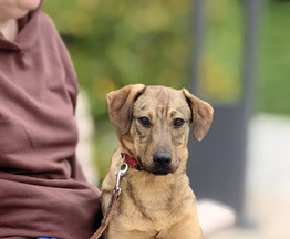 ����� - ��������� ������ ��� �������� - ���� 1 � ����������