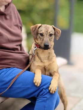 ����� - ��������� ������ ��� �������� - ���� 1 � ����������