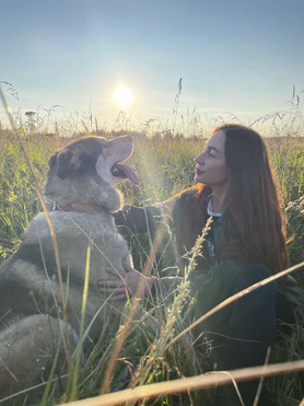 ������ ���� ���������� ������ - ���� 1 � ����������