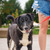 ������ ���� ����� - ���� 4 � ����������