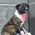 ������ ���� ���������� ������ - ���� 4 � ����������