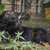 �������� ��������� ������ ���� ���. - ���� 4 � ����������