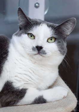 ����� ���� ���������� ������ - ���� 1 � ����������