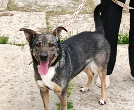 ���� ��� ���������� ���� �� ��� � ������� ����� - ���� 1 � ����������