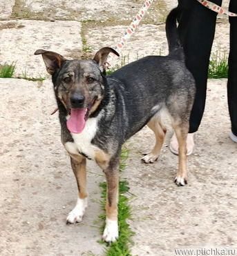 ���� ��� ���������� ���� �� ��� � ������� ����� - ���� 1 � ����������