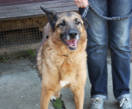 ��������� - ������ ���������, ������ �������� ����� ���� ���� ������ �����! - ���� 1 � ����������