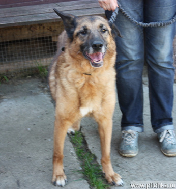 ��������� - ������ ���������, ������ �������� ����� ���� ���� ������ �����! - ���� 1 � ����������