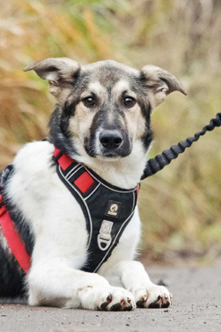 ������ ���� ���������� ������ - ���� 1 � ����������