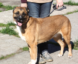 �������, �������� ���� -������ ��������� ����� ���� ���� �����! - ���� 1 � ����������