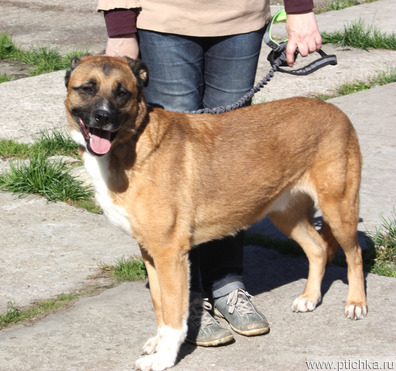 �������, �������� ���� -������ ��������� ����� ���� ���� �����! - ���� 1 � ����������