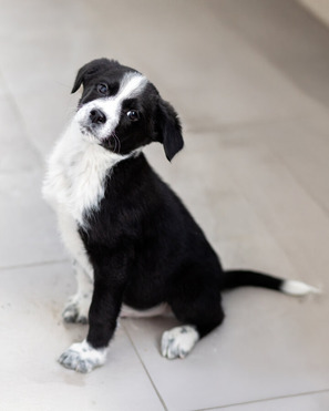 �������� ����� ����� ���� ���. - ���� 1 � ����������