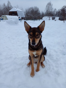 ������ ���� ���������� ������ - ���� 1 � ����������