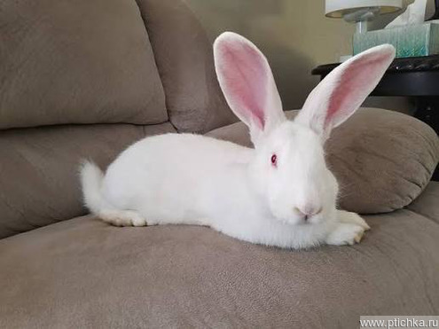 ����� ������� ���������� �� ����� - ���� 1 � ����������