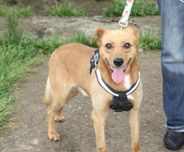 ������, �������������� ��� ������� � ������� ����� � ����! - ���� 1 � ����������