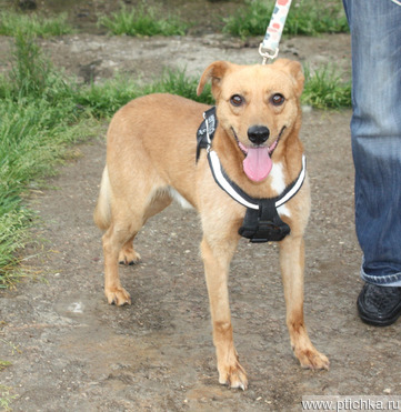 ������, �������������� ��� ������� � ������� ����� � ����! - ���� 1 � ����������