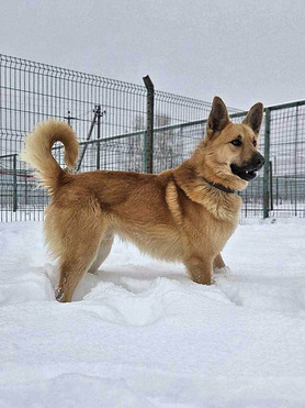 ������ ���� ���������� ������ - ���� 1 � ����������