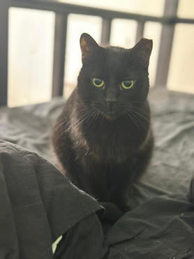 ������ � ������� ���� - ���� 1 � ����������