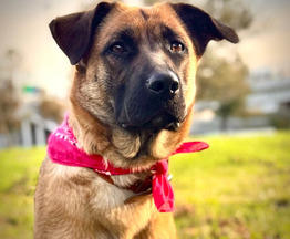 ������� ���� ���������� ������ - ���� 1 � ����������