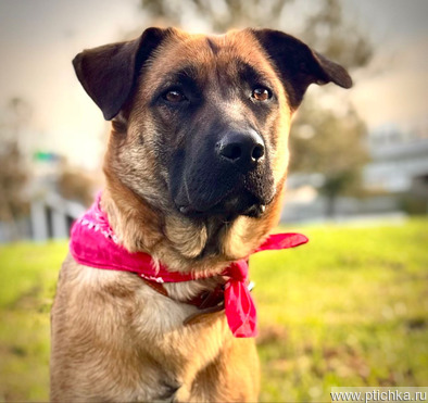 ������� ���� ���������� ������ - ���� 1 � ����������