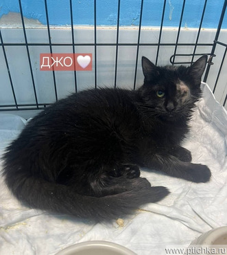 ������� ���� � ������ ���� - ���� 1 � ����������